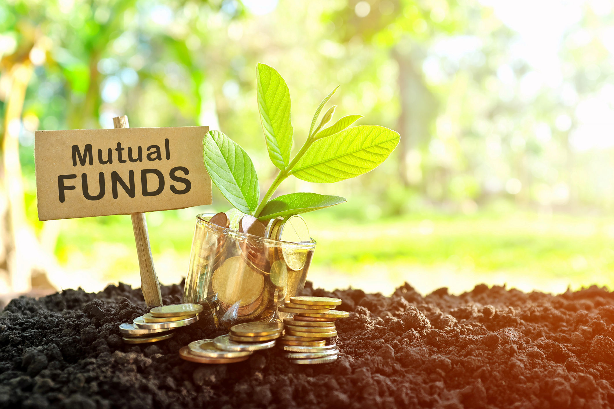 What Are Mutual Funds